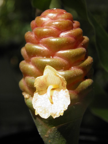 48904322533 eed69dd89b